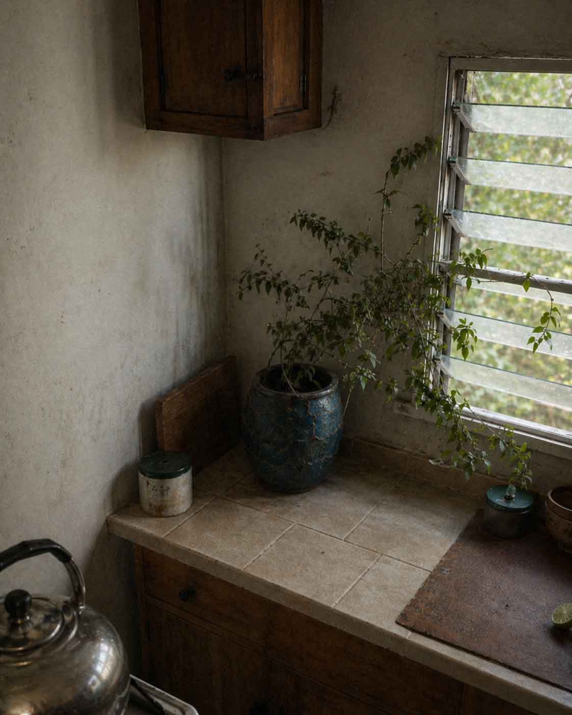 Your Home is an Ecosystem. How Do You Nurture It?